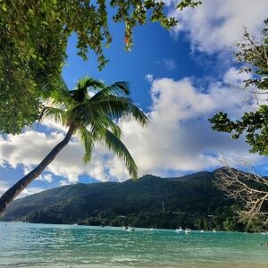 ☆Virtuelife's Posh Standards☆